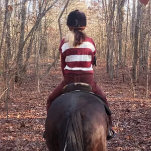 Sweater vest small oversized knit pull over sweater layering preppy equestrian